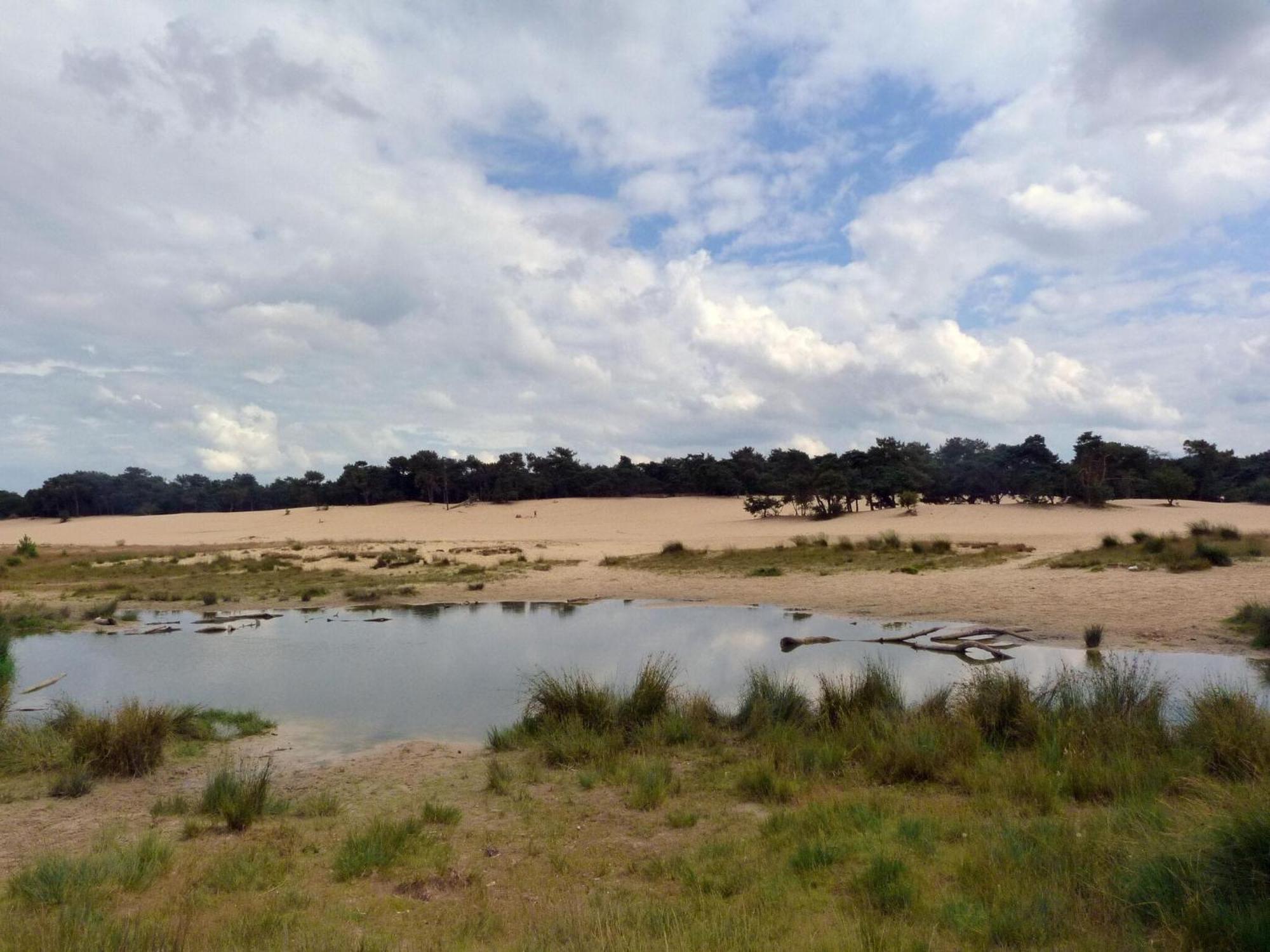 Udenhout Chalet Near The Loonse And Drunense Duinen מראה חיצוני תמונה